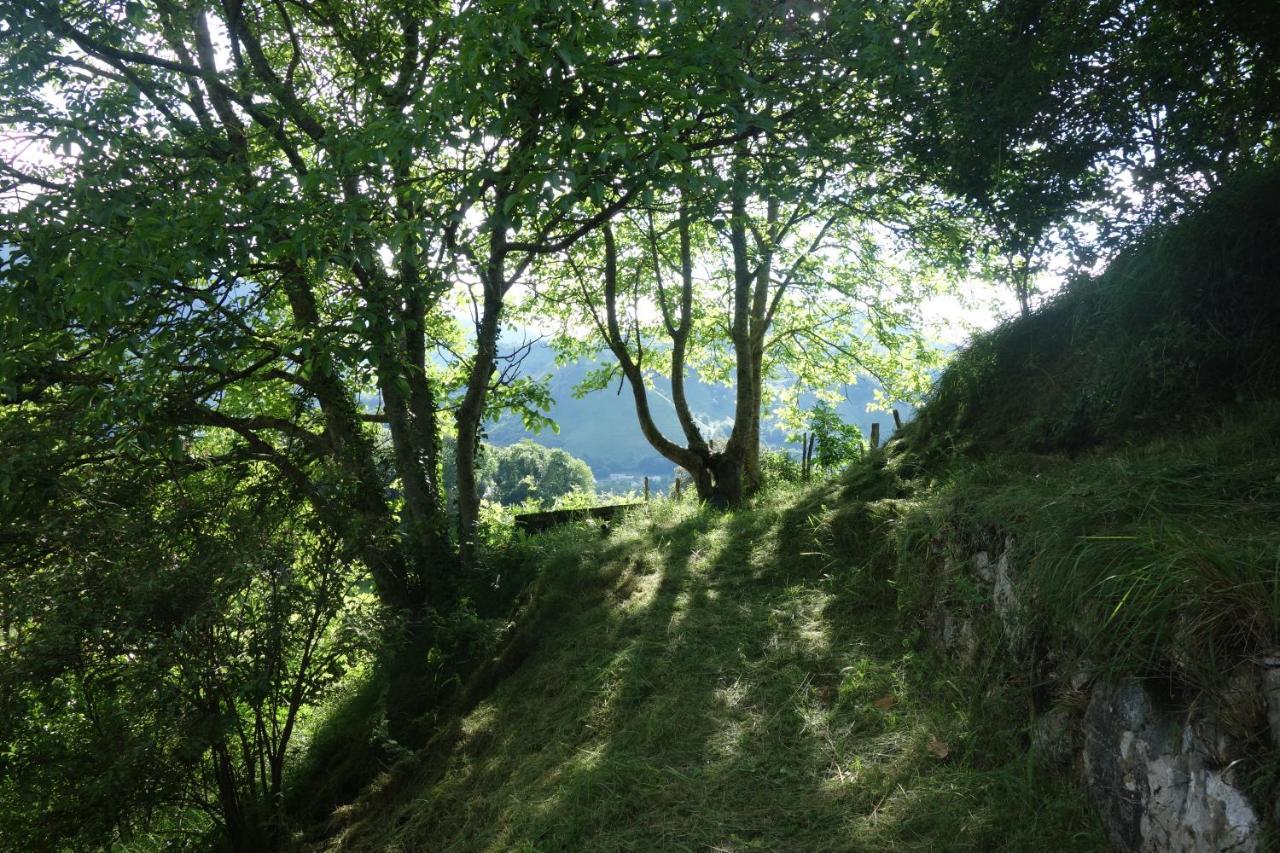 Gite Montagne Et Vie Bedous Esterno foto